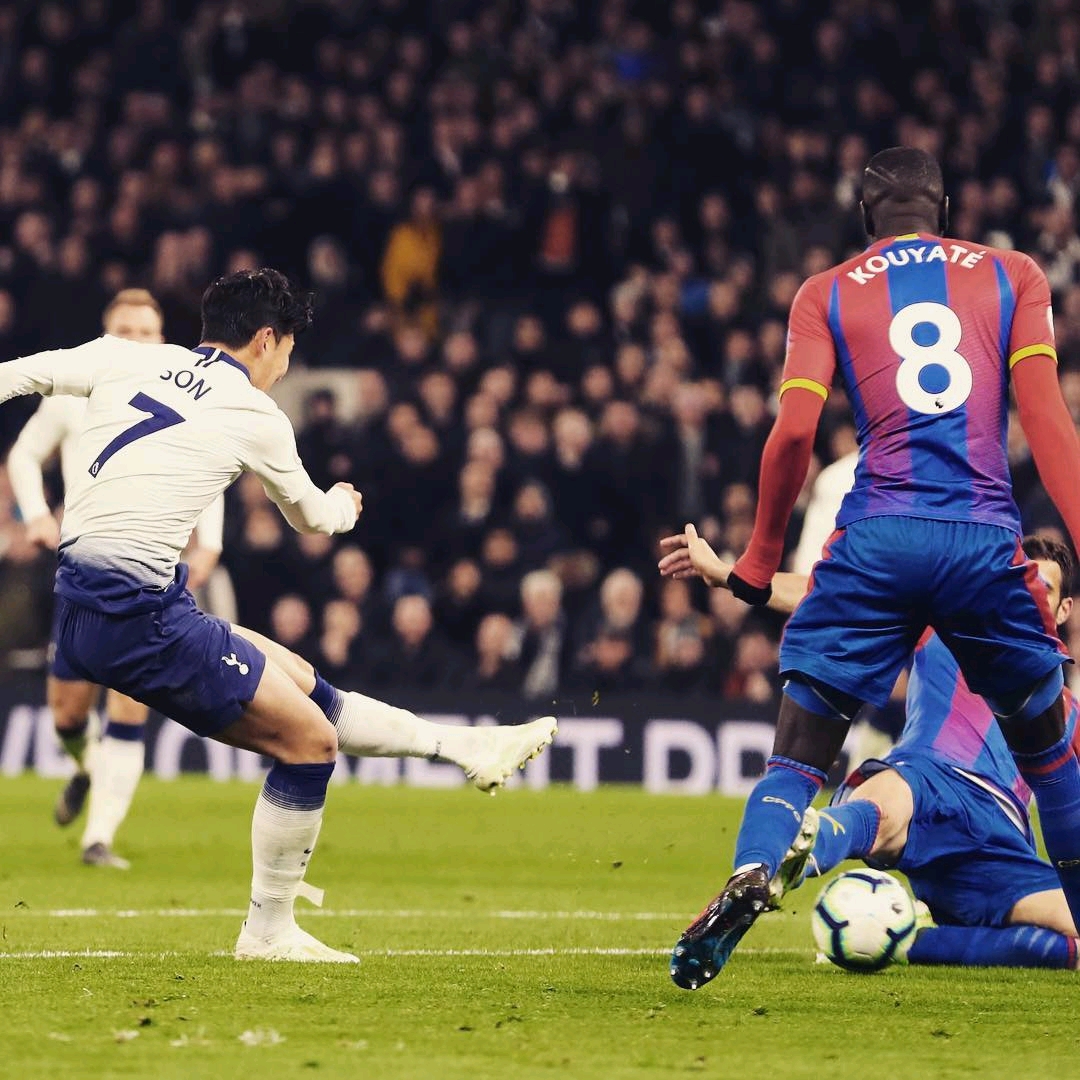 业生涯的 业生涯的